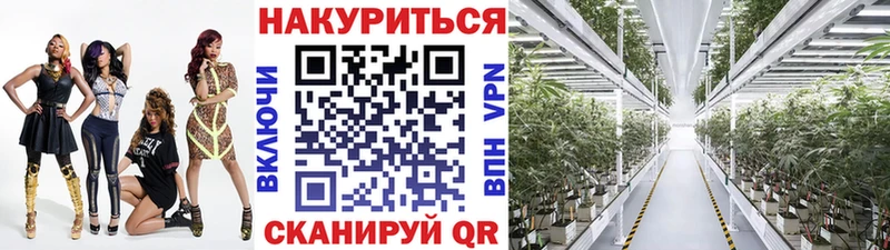 Бошки марихуана планчик  продажа наркотиков  kraken онион  Ермолино 
